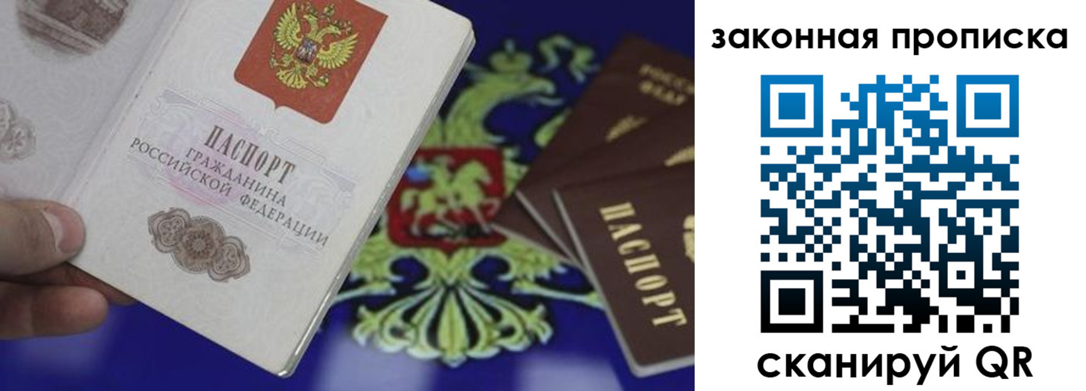 прописка поиск в Пензе